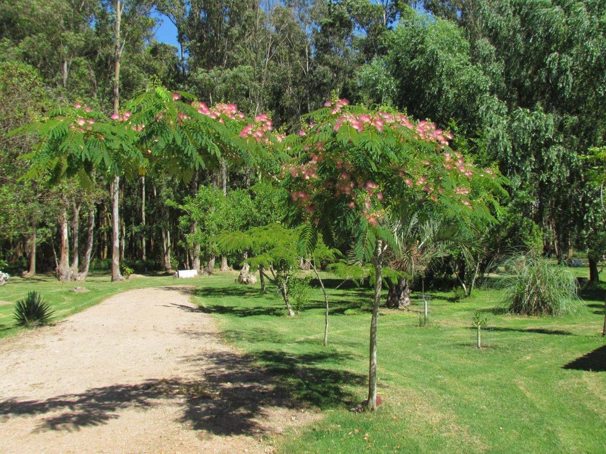La Posta De La Laguna La Paloma Zewnętrze zdjęcie